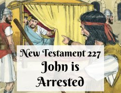 NT 227 - John is Arrested